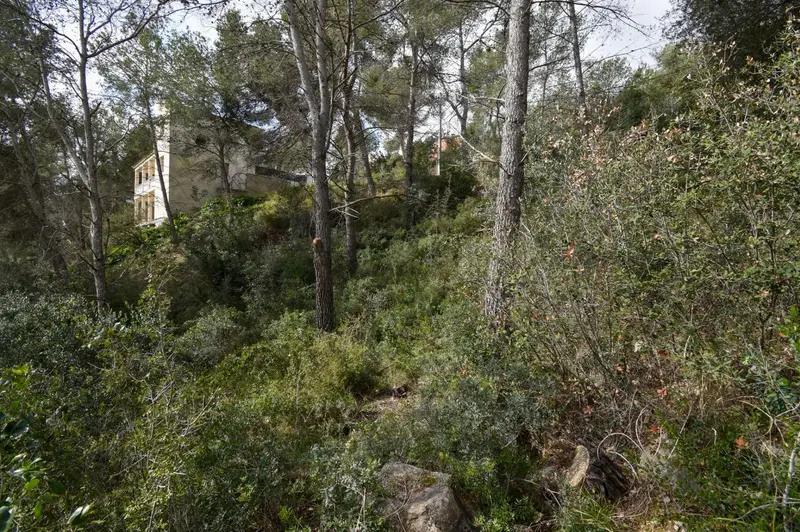 Venta Terreno Can Suria Olivella Casa Unifamiliar