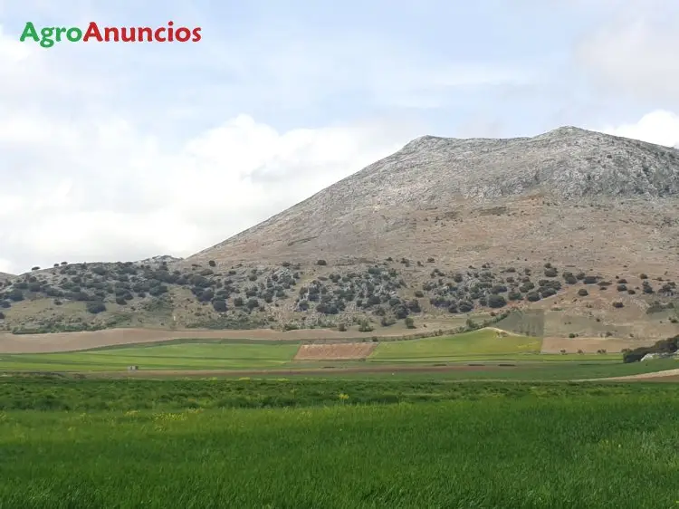 Venta  de Terreno de secano en Granada