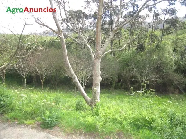 Venta  de Terreno no edificable en A Coruña