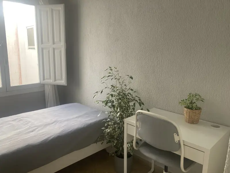 Habitacion Alquiler Alicante Centro Playa