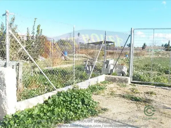 Terreno Agrario con Olivos y Melocotoneros cerca Molina de Segura