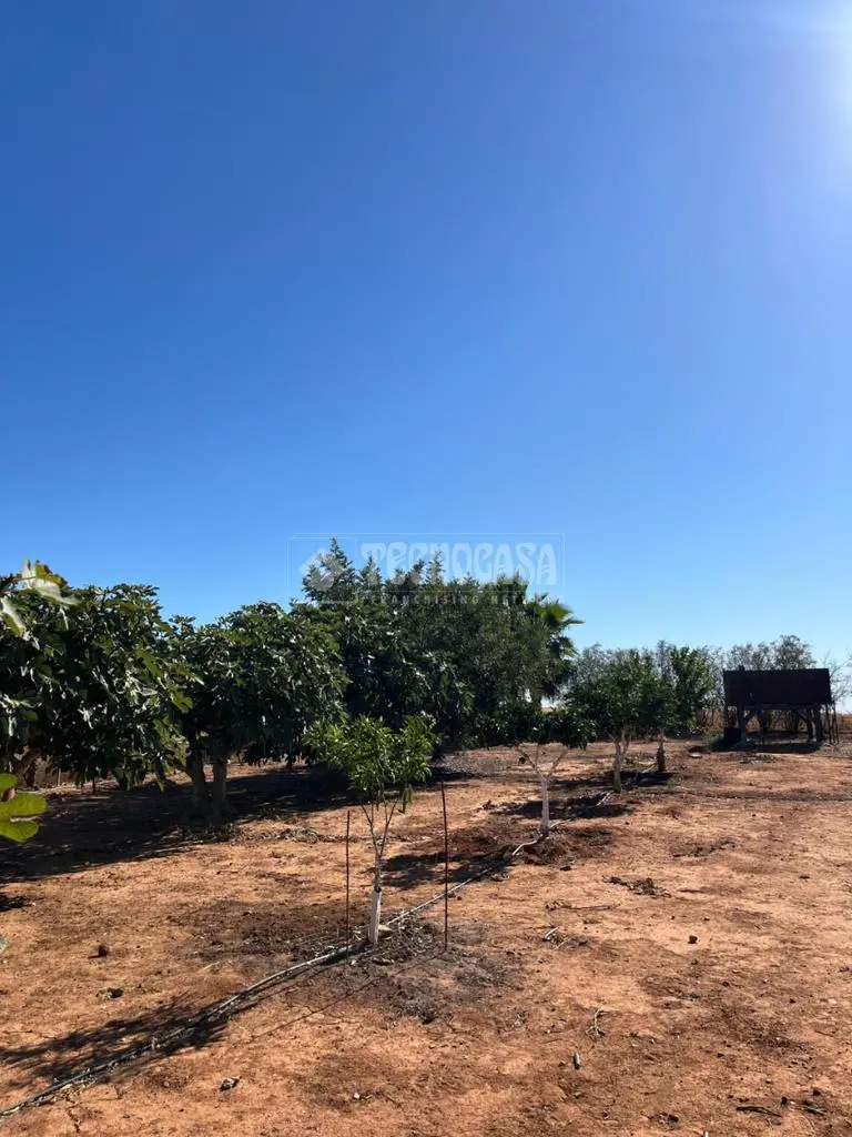 Terrenos en venta en Carmona