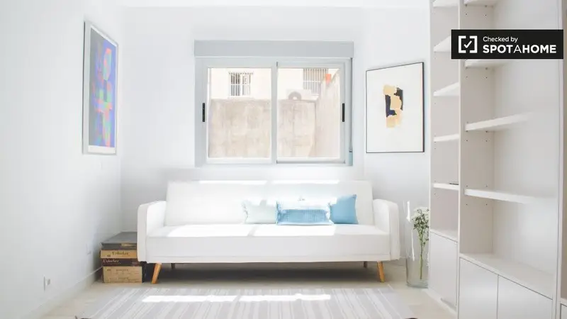 Apartamento 1 Dormitorio Madrid