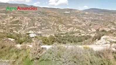 Venta  de Finca de regadío en Almería