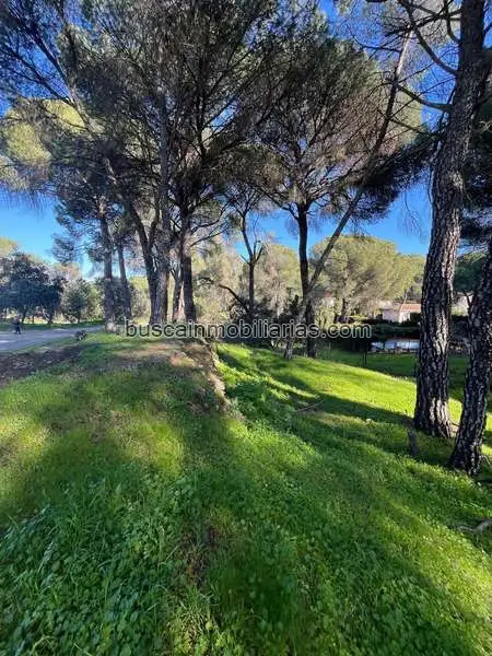 Parcela Rustica en Venta en Cerro Muriano Cordoba