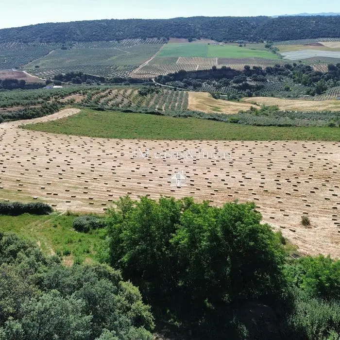Venta Finca Carretera Sevilla Ronda