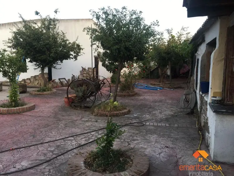 Venta Casa con Piscina en Mirandilla 4 dormitorios 4 baños