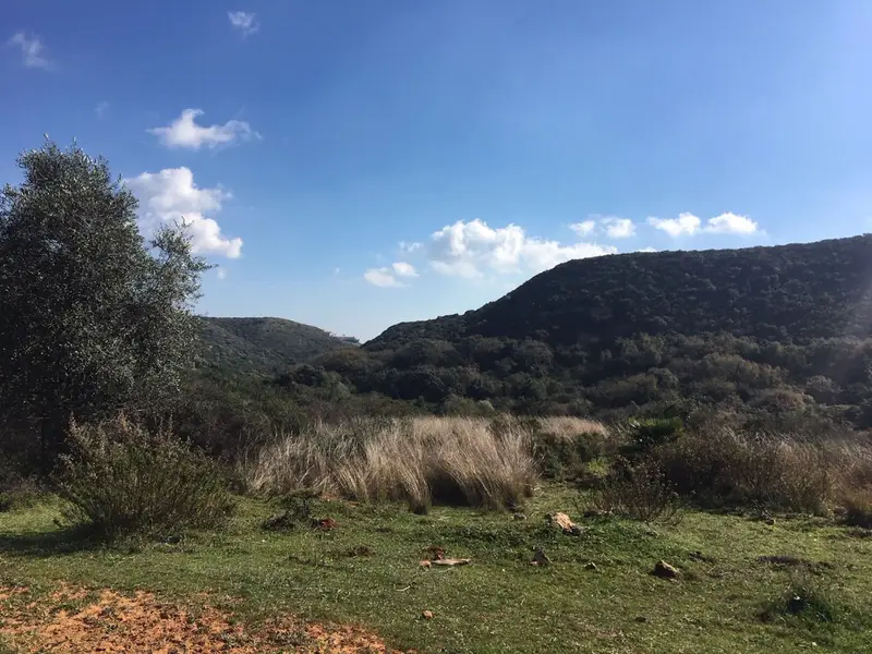 Terreno en Venta Manilva Costa del Sol 143500m2