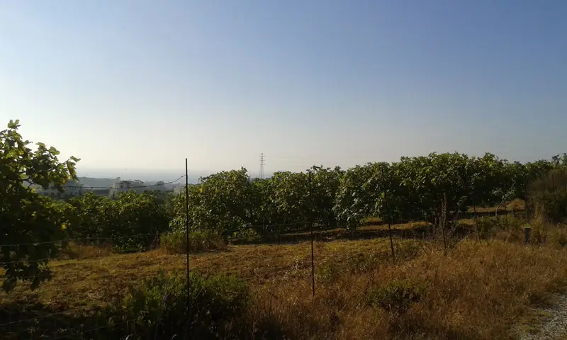 Terreno en venta Casares, España