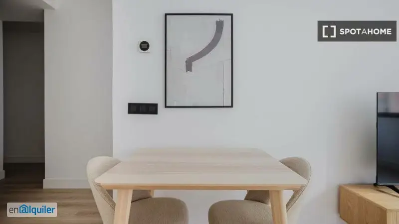 Apartamento 1 Dormitorio Madrid Alquiler
