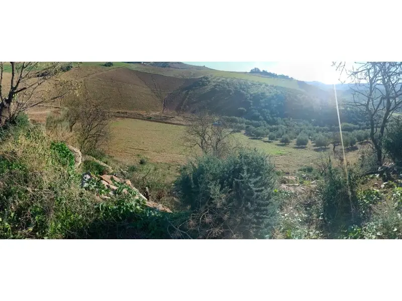 Venta Suelo Rustico Casabermeja 5500m2