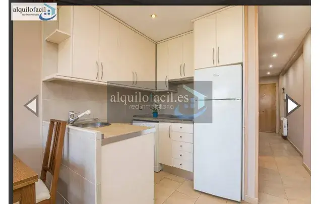 Alquiler Apartamento 1 Dormitorio 55m² Alicante