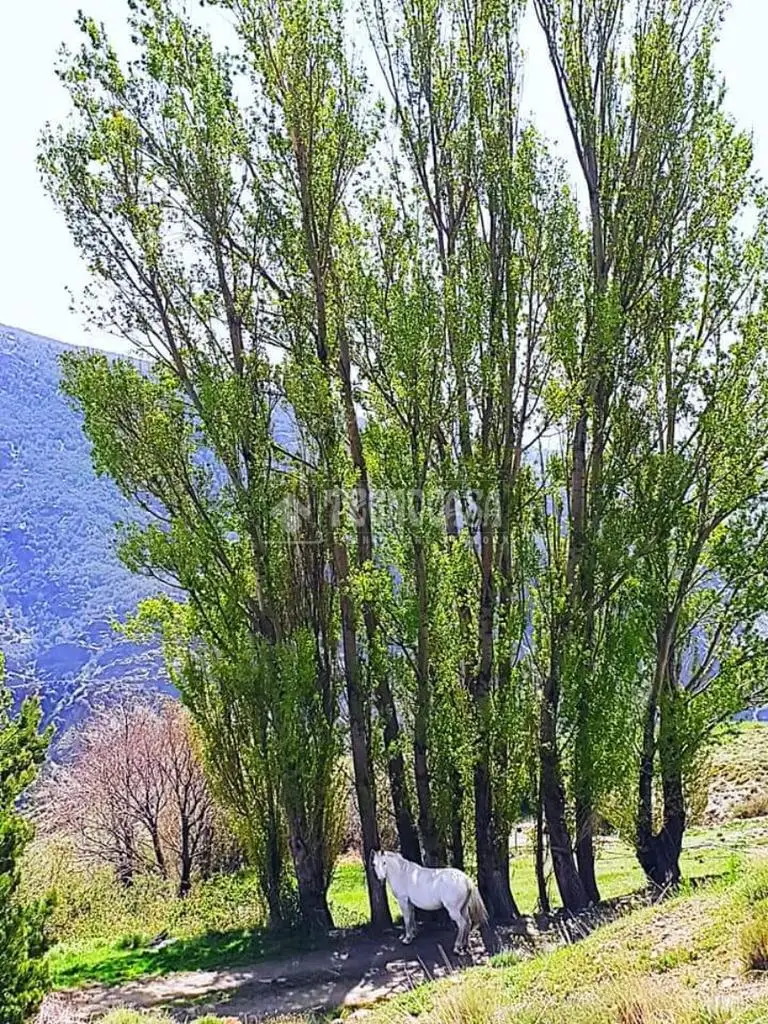 Casa rural en venta en Bérchules