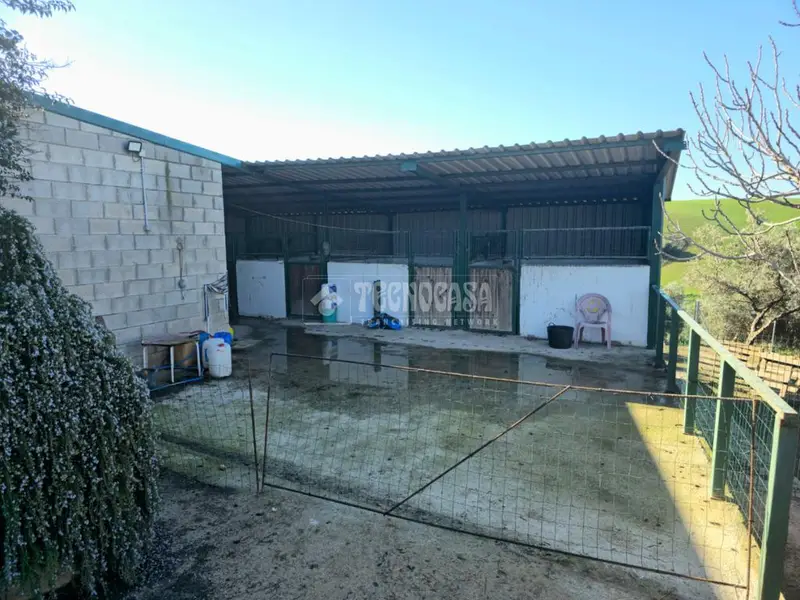 Terreno en Venta Montellano 25000m2 Agricola Ganadero