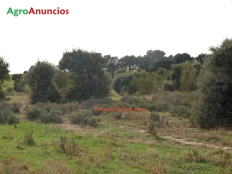 Venta  de Finca ganadera  y de recreo en Toledo