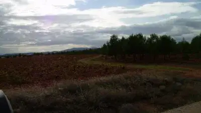 Finca Rustica en Venta Valdepe	ñas 37800m2
