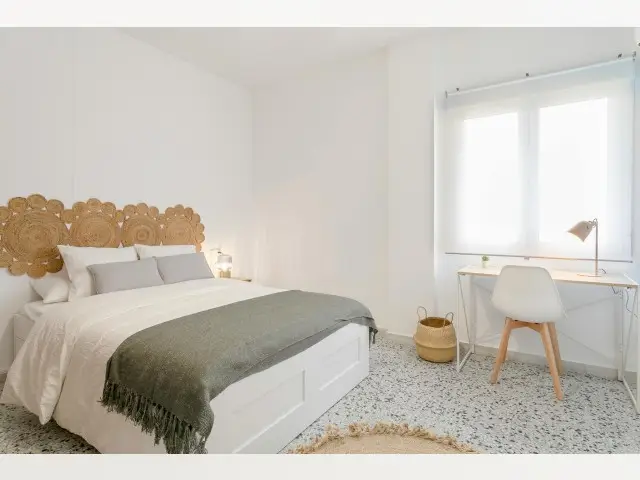 Habitacion Alquiler Alicante Centro Estudiantes