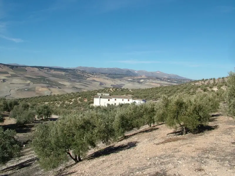 Finca Rural con Vistas Panorámicas y Autosuficiencia Energética