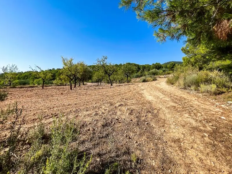 Venta Terreno con Vistas en Espartosa Castalla