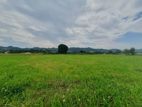 Finca Llana y Soleada en Grado Asturias Ideal Huerta