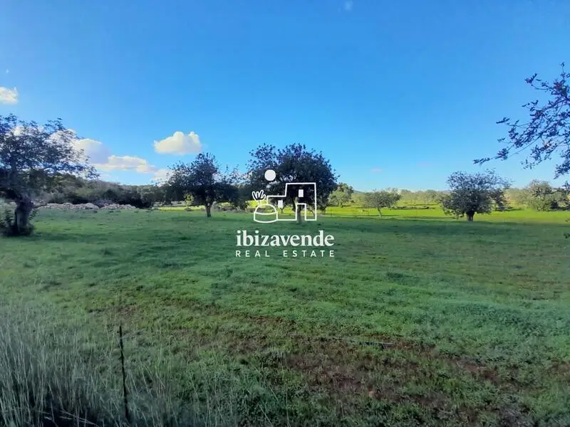 Casa de Campo en Venta en Ibiza: Terreno de 17000m2