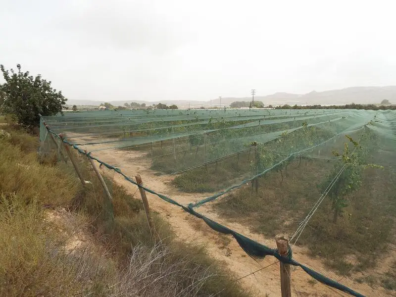 Parcela 20712m2 Monforte del Cid Villa 414m2
