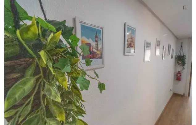 Alquiler Apartamento 3 Dormitorios Madrid Cerca Bernabeu