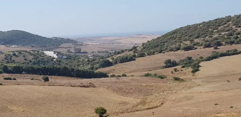 Venta Terreno Rustico en Patria Vejer de la Frontera