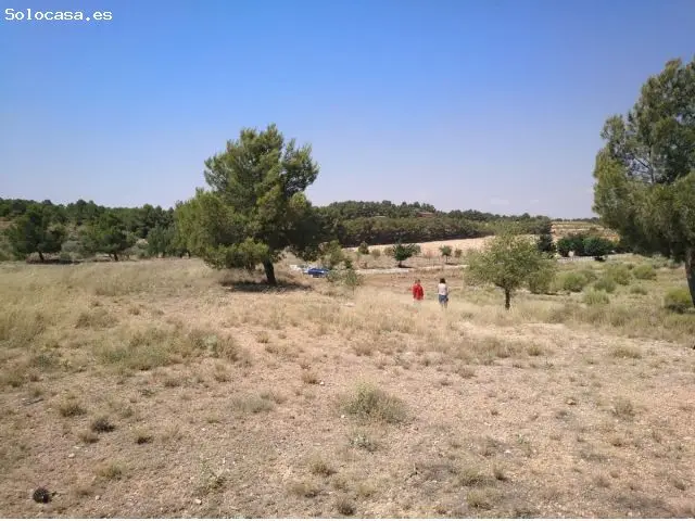 Parcela en Almansa Cuesta Castilla 18000m2 Chalet