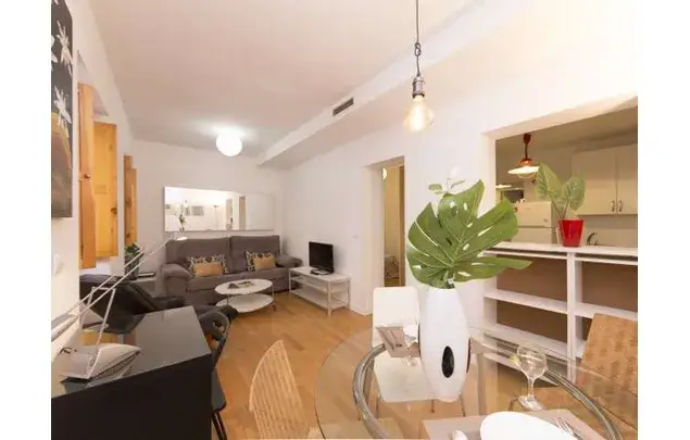 Apartamento 2 Dormitorios Madrid Centro Amueblado Luminoso