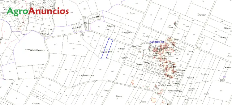 Venta  de Terreno de secano en Ourense