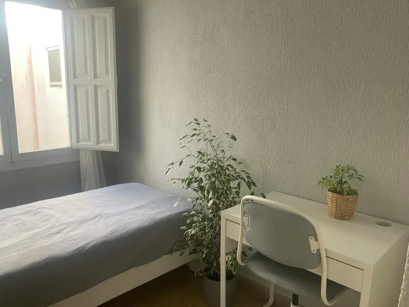 Habitacion Alquiler Alicante Estudiantes Chicas