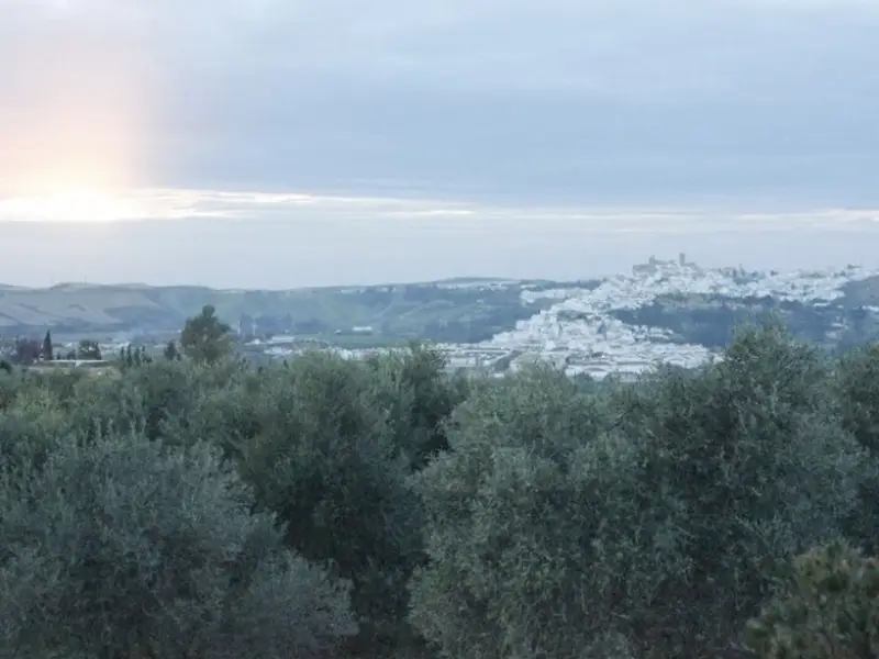 Terreno en Arcos De La Frontera, Cádiz provincia