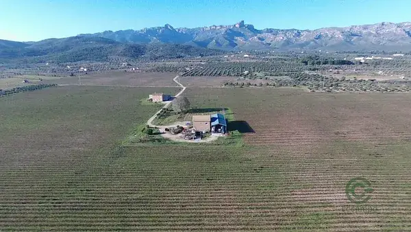 Finca Rustica 60 Hectareas El Perello Tarragona Bodegas Viviendas