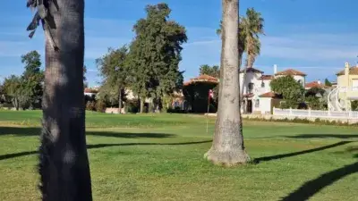 Alquiler Estudio Oliva Nova Golf Playa