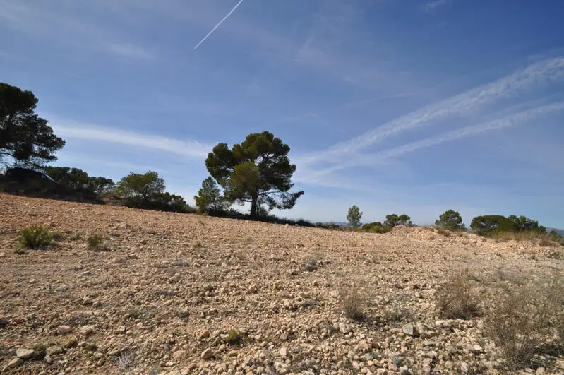 Parcelas en Venta La Zarza - Construccion Permitida