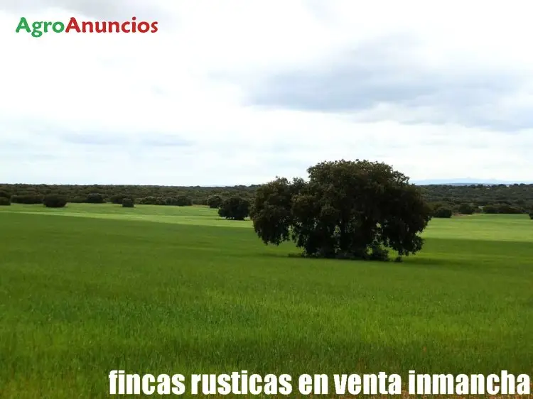 Venta  de Finca de caza con labor y monte en Albacete