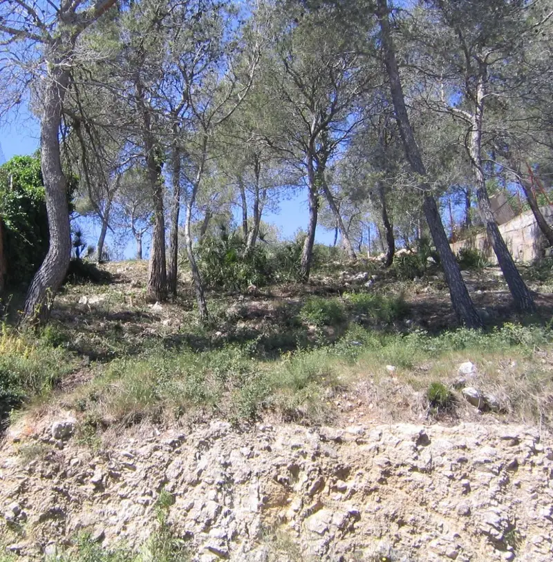 Venta Terreno en Les Palmeres Canyelles 480m2