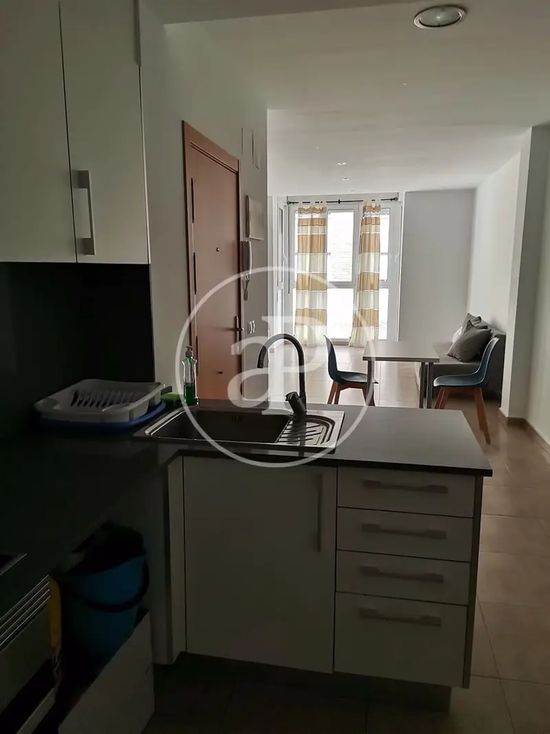 Apartamento 1 Dormitorio Finca Seminueva Valencia