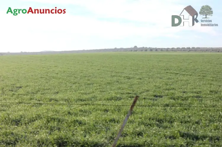 Venta  de Finca rustica de pastos y regadío en Badajoz