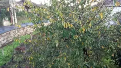 Casa Rústica en Venta en Beade, Ribeiro