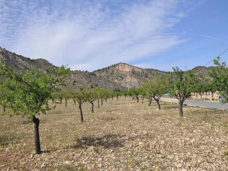 Parcelas en Venta Salinas Alicante