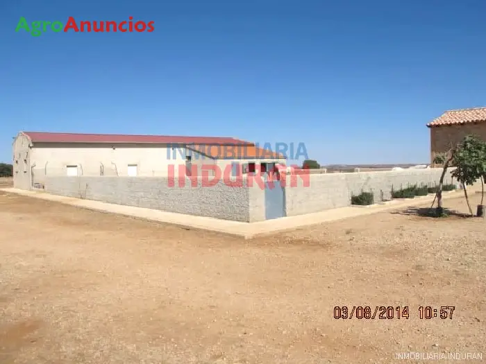 Venta  de Finca agrícola y cinegética en Ciudad Real