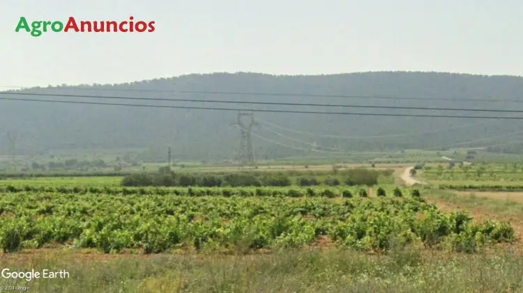 Venta  de Finca de viña de secano y olivos en Valencia