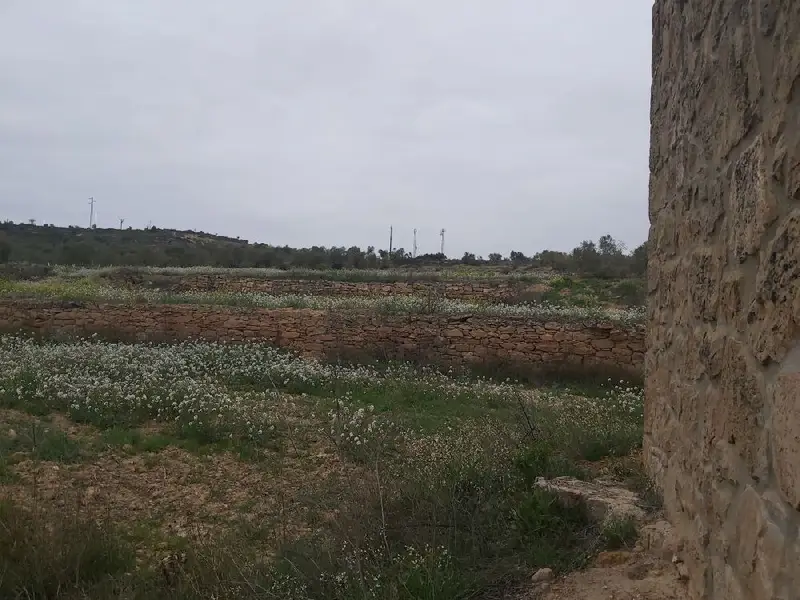 Venta Finca Rustica Maials 11000m2 Cabaña 38m2