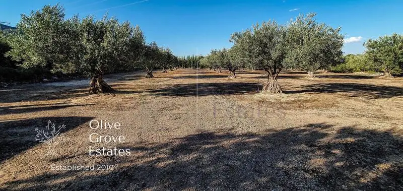 Casa de Campo en Caudete Albacete con Olivar