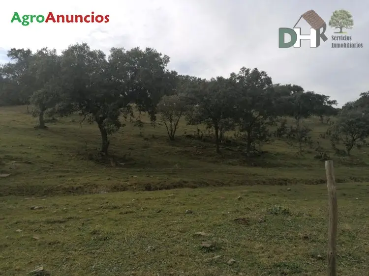 Venta  de Finca de labor y ganadera en Cáceres