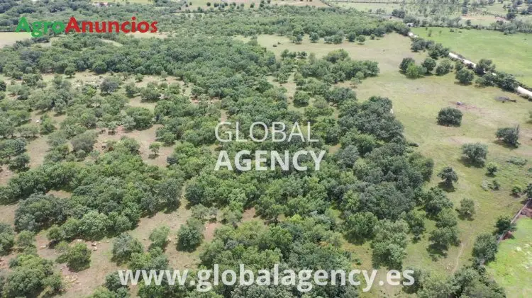 Venta  de Finca ganadera en Madrid