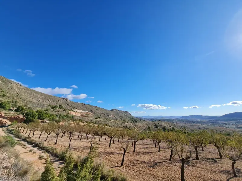 Terreno en Venta Campo Mediterráneo Español