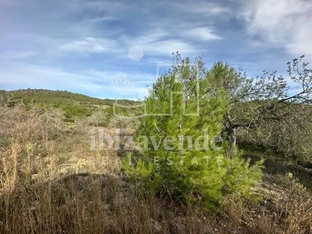 Solar Parcela en Venta Sant Rafael de Sa Creu Ibiza